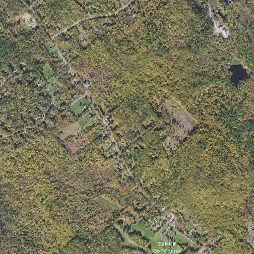 Large tree blocks Pease Road near golf course