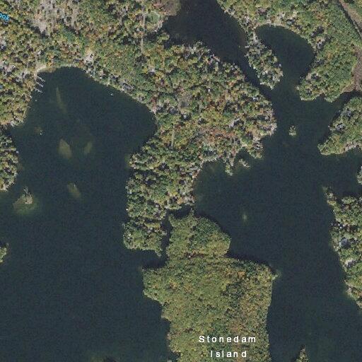 Small moose spotted between two islands