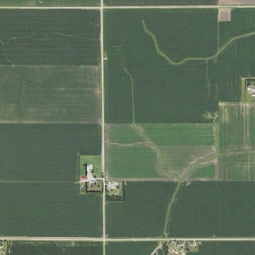 85-year-old female with severe rectal pain in Grand Meadow