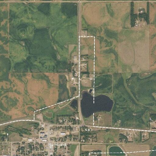 Cow loose near Highway 38 and Stafford Street