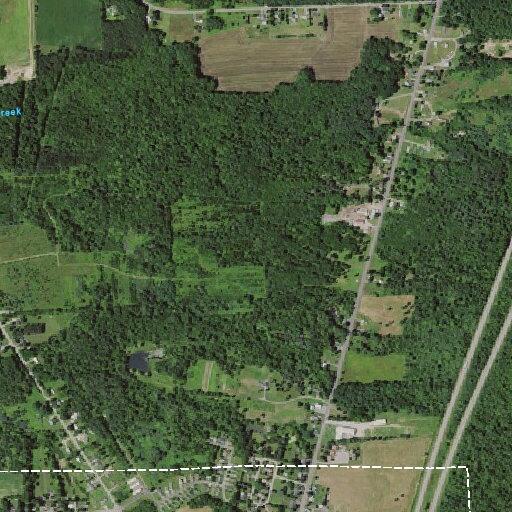 Man disoriented with weakness near Ellsworth Street