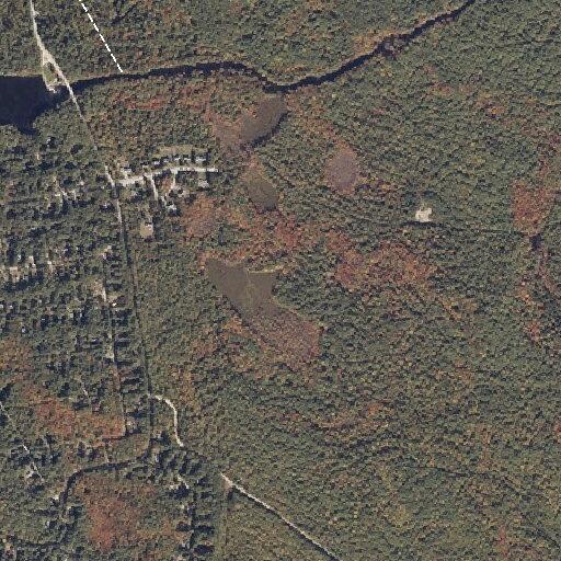 Person sick near Beaver Dam Road