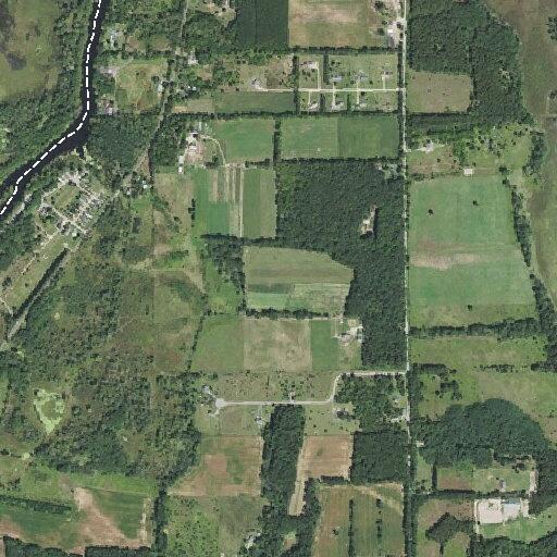 Assistance requested for underage party