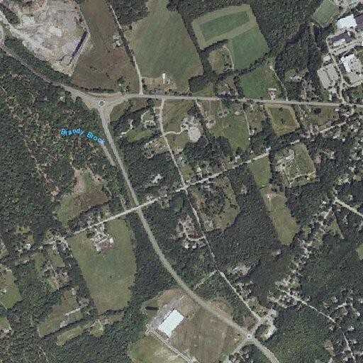 40-year-old man found with tick at residence