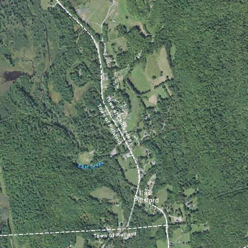 Female vomiting near chittenden road residence
