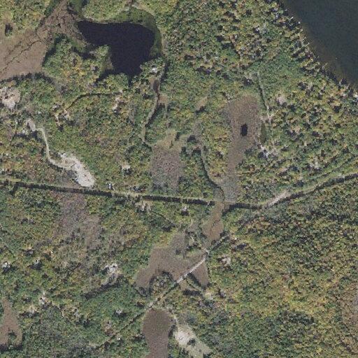 Low hanging wires reported on Wentworth Shores Road