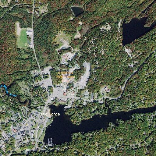 Female injured with finger laceration at Old Forge diner