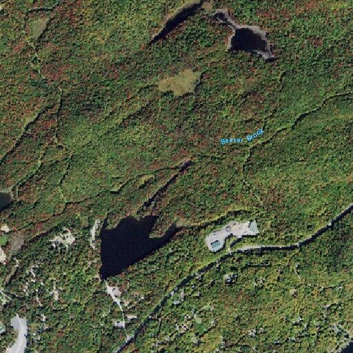 Boy injured after scooter fall at Old Forge campground