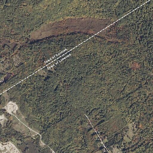 Elderly woman with vaginal bleeding near Watson Hill Rd