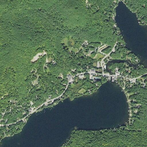 Elderly woman falls and unable to get up near wachusett road