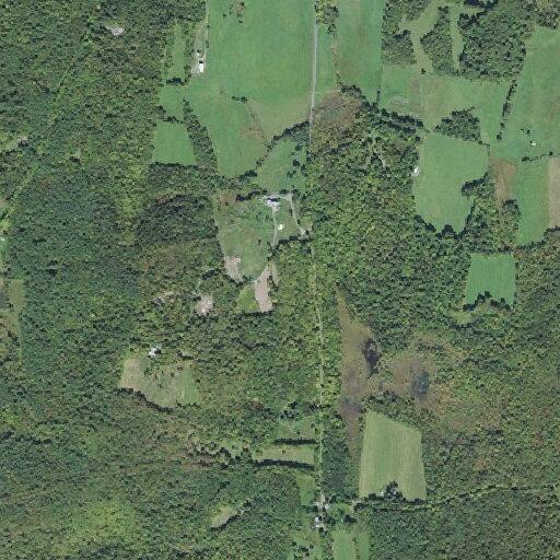 Elderly woman faints, now conscious near South Royalton