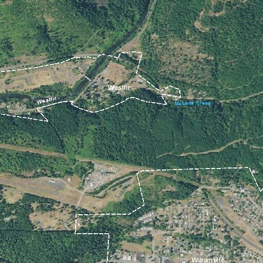 Person reported with severe abdominal pain in Oakridge