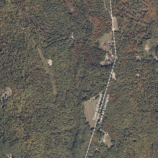 Female falls from bed, reports back pain near Berry Farm Lane