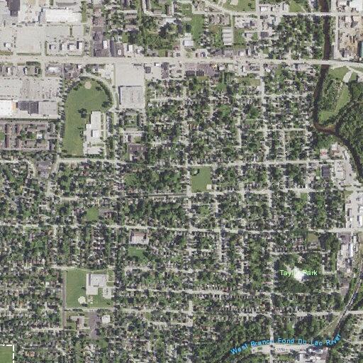 Loose dogs in roadway near West Monona Street