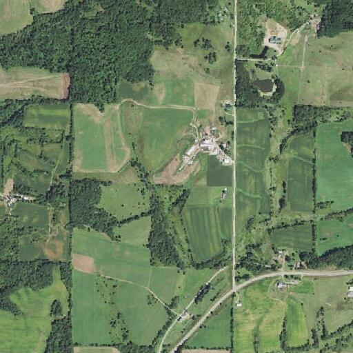 Injured deer in ditch after vehicle strike