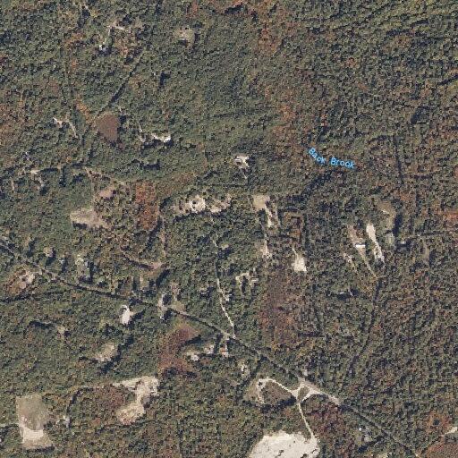 Woman dizzy and nearly fainting near Ossipee Trail in Limington
