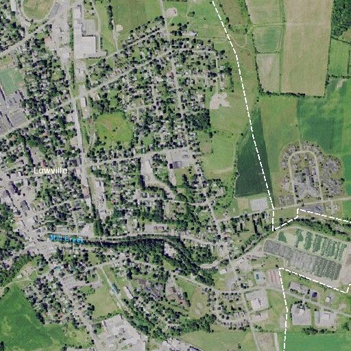 Elderly woman lightheaded after fall and head injury