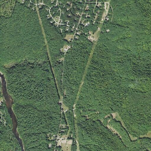 Trees blocking roadways near Route 175 and I-93