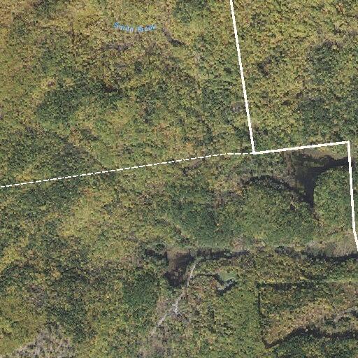 Dog missing on trail after man lost consciousness