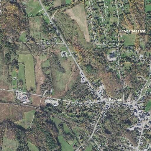 Store employees appear impaired at Champlain Farms