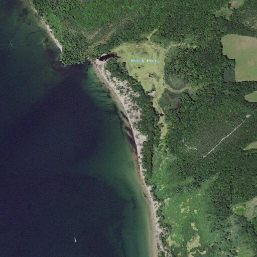 Check of wildlife area for reported underage group