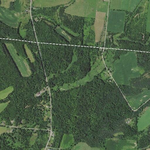 Vehicle hits tree on State Route 3