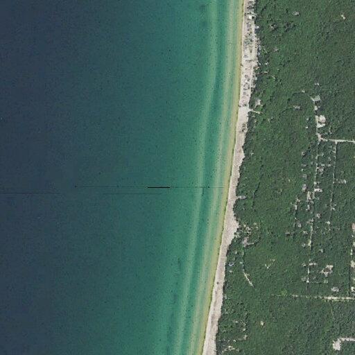 Man bitten by dog on beach near Timber Shores Dr