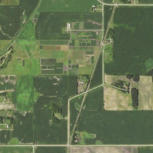 Elderly woman falls near 775th Avenue in Ellendale