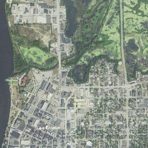 Female vomiting near State Street apartment