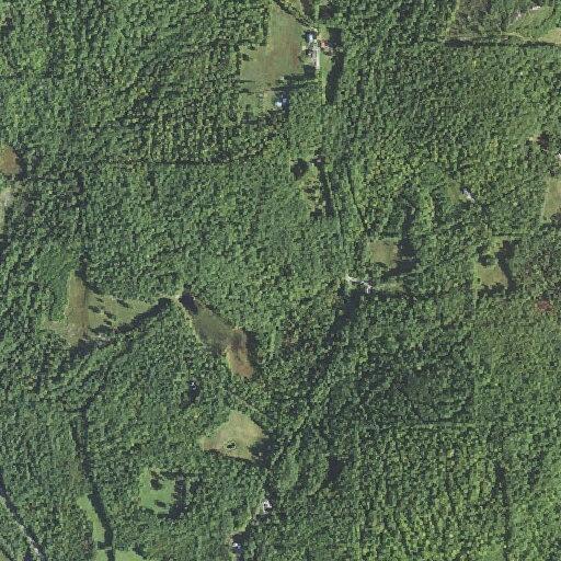 911 abandoned call on Watson Hill Road
