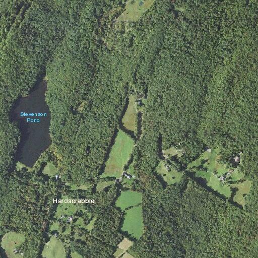 Tree blocking roadway on High Bridge Road