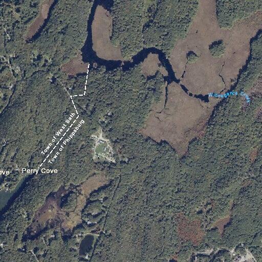 Tree blocking both lanes near campground