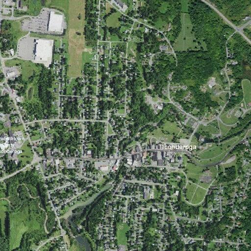 Elderly female with altered mental status in Ticonderoga