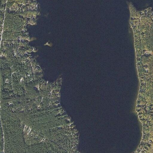 Report of unknown people on property in Silver Lake