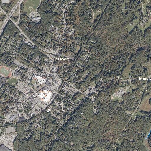 Female reporting severe diarrhea in Freeport