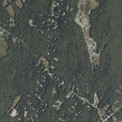 87-year-old woman falls near Farm Road in Gray, ME