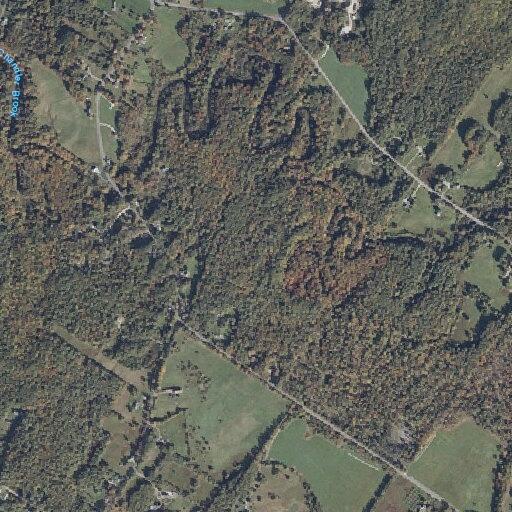 Tree falls on moving car in Pownal