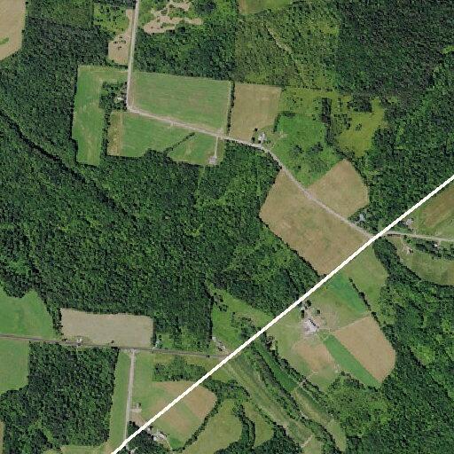 Ongoing dispute at Watson Road residence