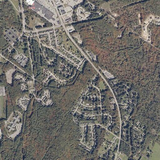 Woman having seizure near Chickadee Circle in Brunswick
