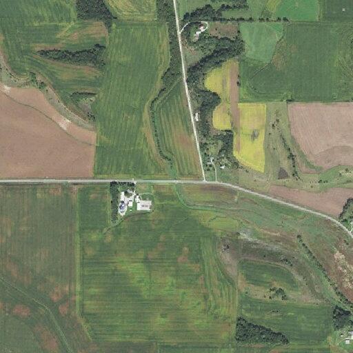 Elderly woman with chest pain at County Rd 30 SE