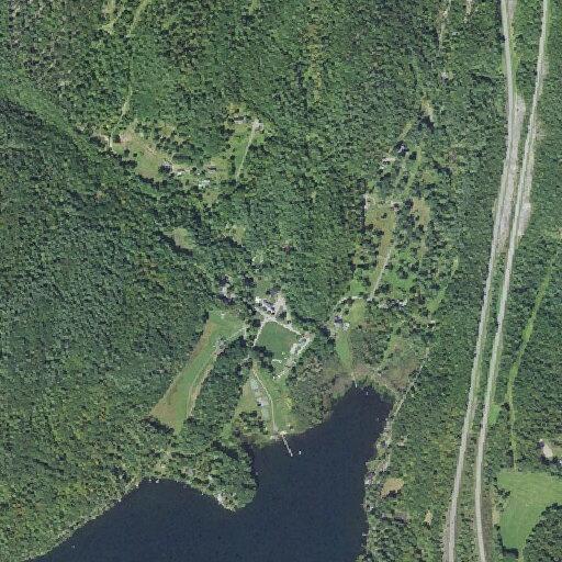 Fire alarm activation on Lake Morey Road