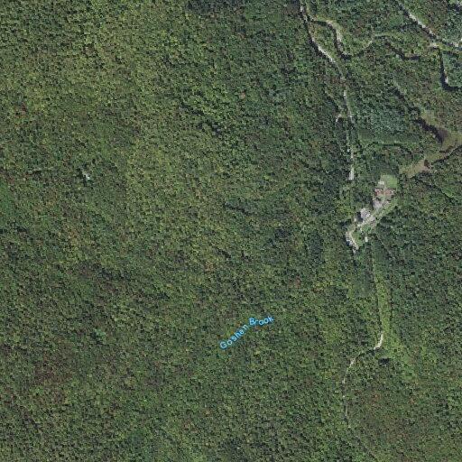 Rescue team coordinating ATV access near Route 92 in Ripton