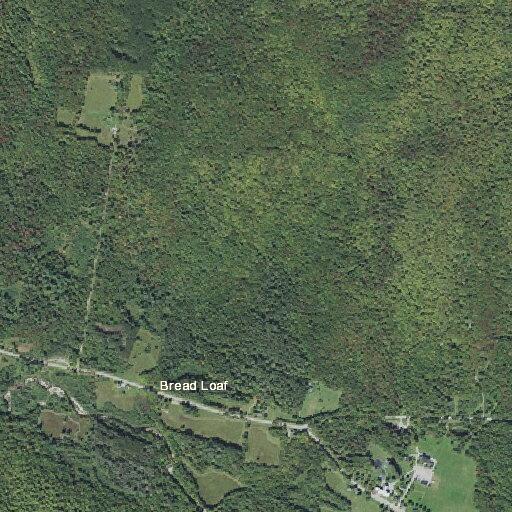 Motorcycle hits deer on Vermont Route 125