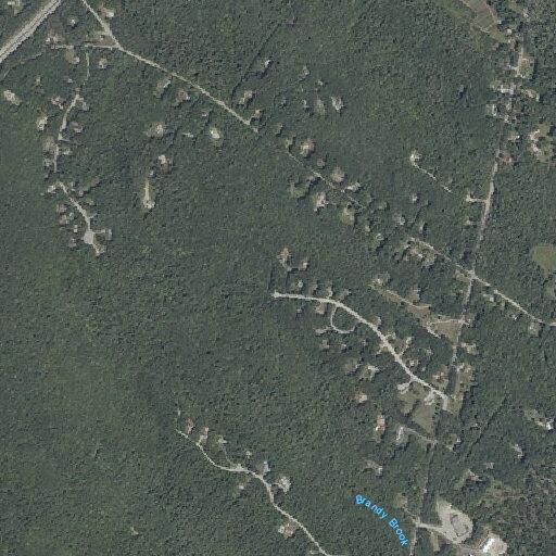 Accidental 911 call from Lewiston Road home