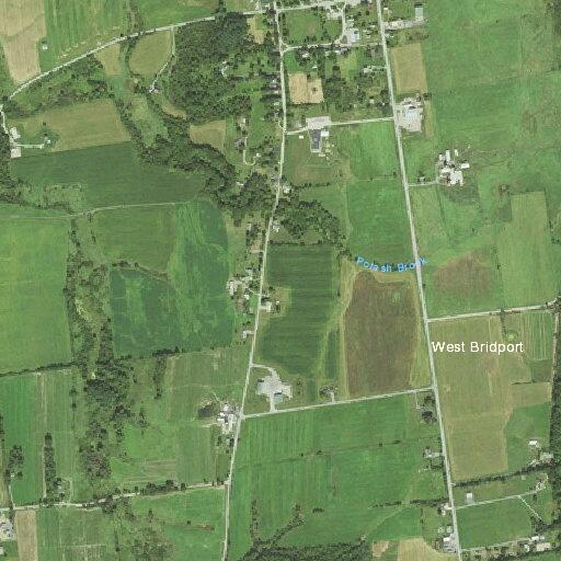 Two women fall near Crown Point Road in Bridport