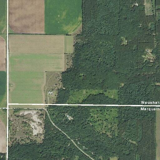 Grass and pine tree fire on Dakota Road