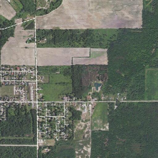 Dispute over belongings at Pine River Road home
