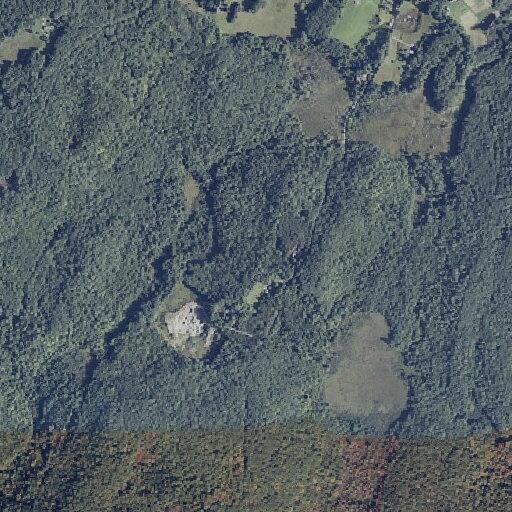Person with body twitching and swollen lips near Mt Hunger Rd