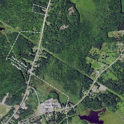 Welfare check requested near West Street in Carthage