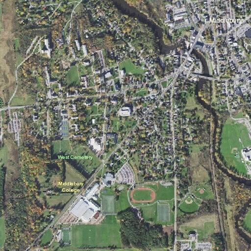21-year-old male with rapid heartbeat at Middlebury College